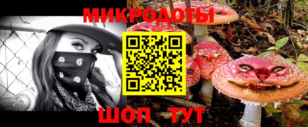 Псилоцибиновые грибы Psilocybe  Галлюциногенные грибы Cubensis  Вход с VPN  Лабинск 