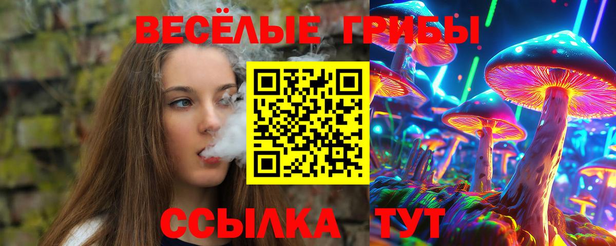 Псилоцибиновые грибы мицелий Лабинск